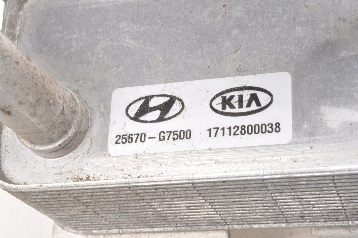 AIR CONDITIONING COOLER HYUNDAI IONIQ 25670-G7500 ELECTRICIAN WIRES