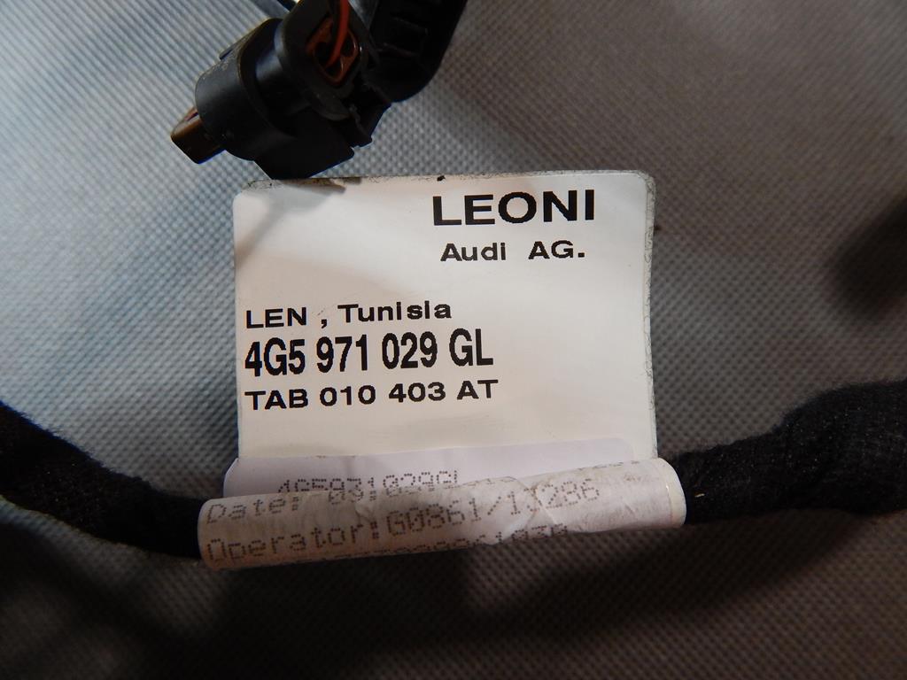 AUDI A6 C7 DOOR HARNESS LEFT FRONT 5971029GL
