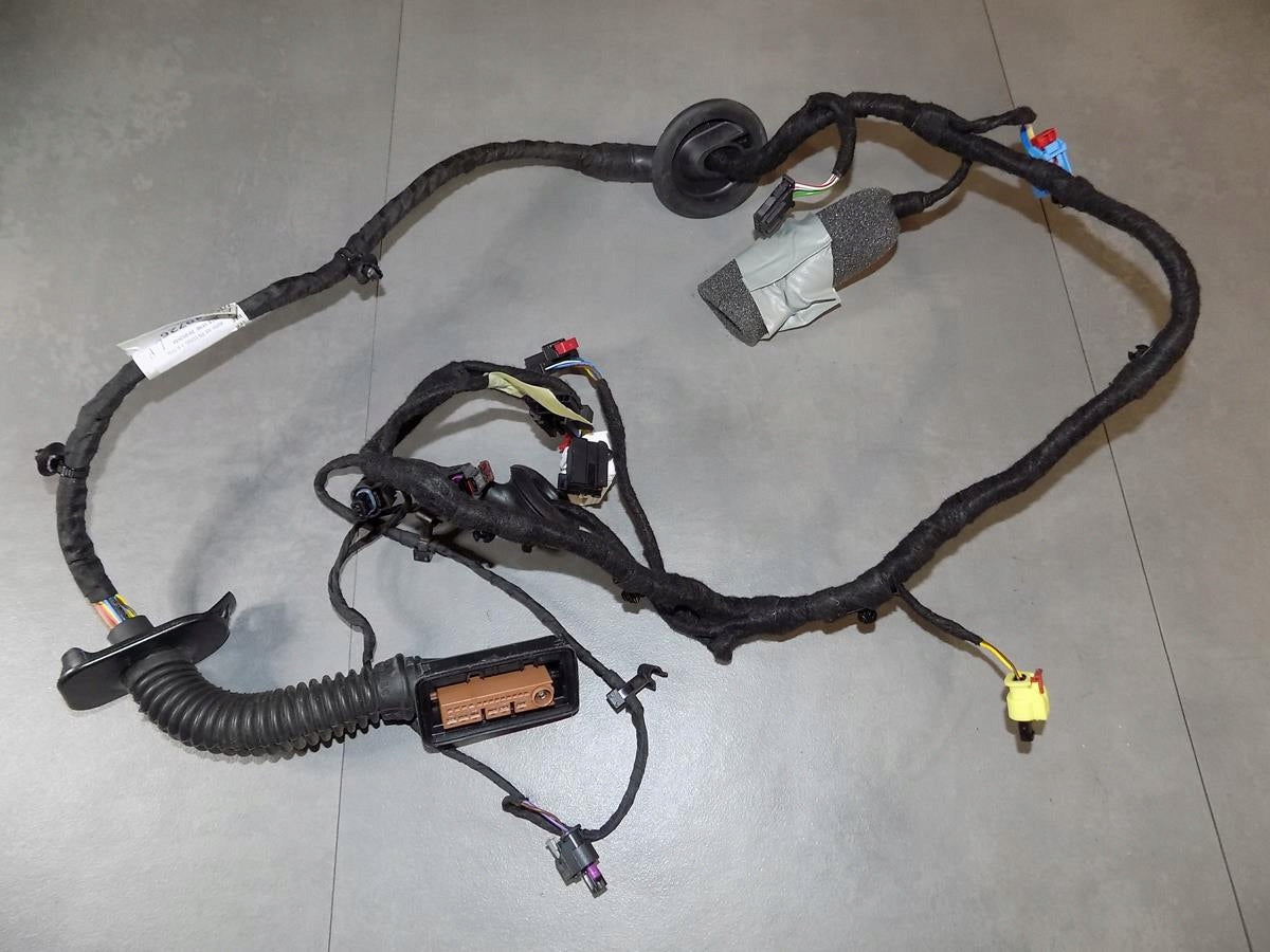 AUDI A8 4N DOOR HARNESS LEFT FRONT 4N0971029Q