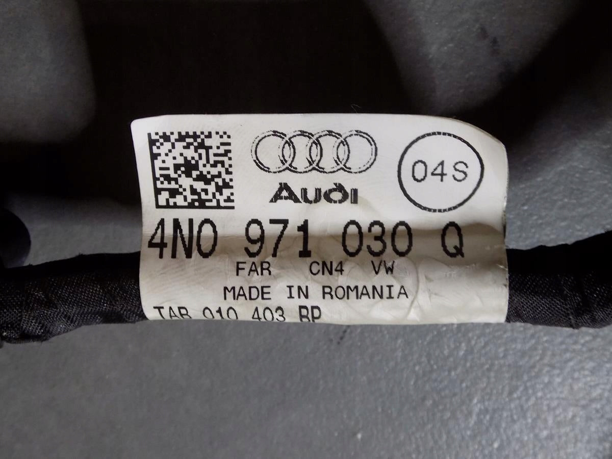 AUDI A8 4N DOOR HARNESS RIGHT FRONT 4N0971030Q