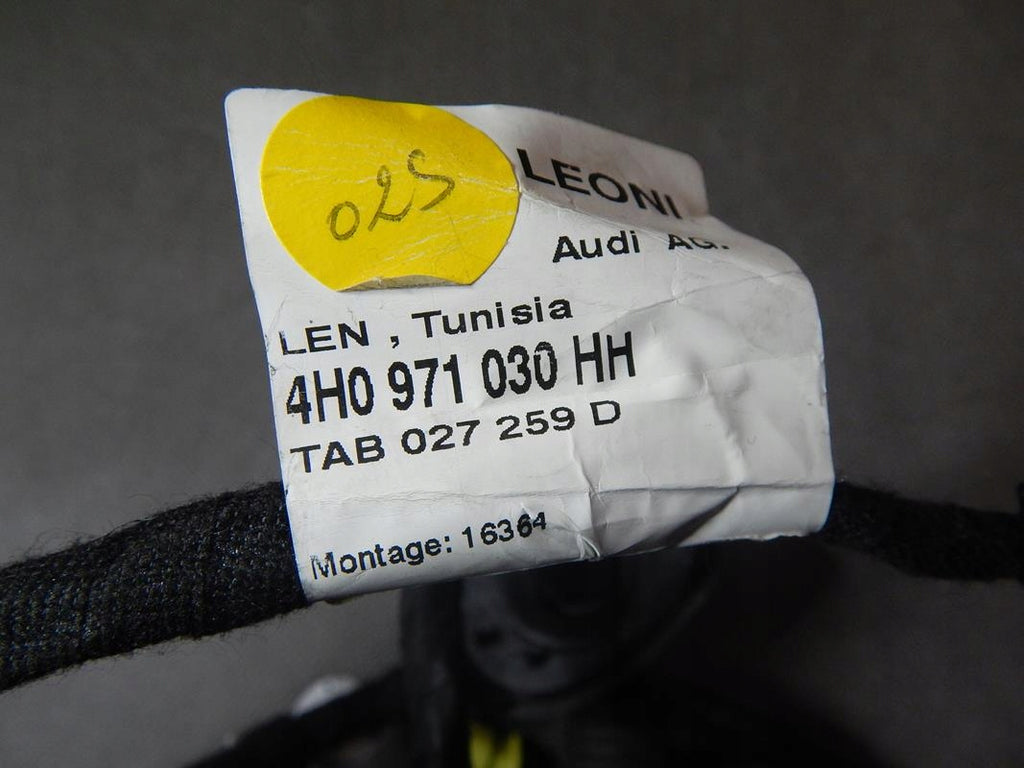 AUDI A8 D4 DOOR HARNESS PP 4H0971030HH