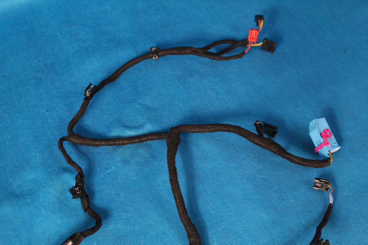 AUDI A8 D5 4N DOOR HARNESS FRONT LEFT UPHOLSTERY 4N0971035NF 2017R