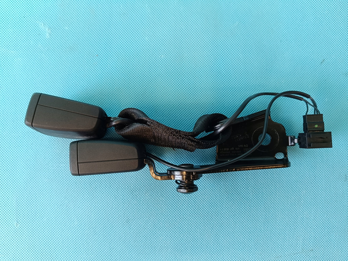 AUDI Q8 E-TRON 55 QUATTRO 300KW 2019 R BELT CLIP 4KE857739H