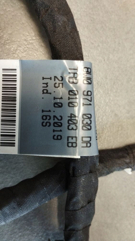 Audi A4 S4 B9 8W Front Right Door Harness 8W0971030DA