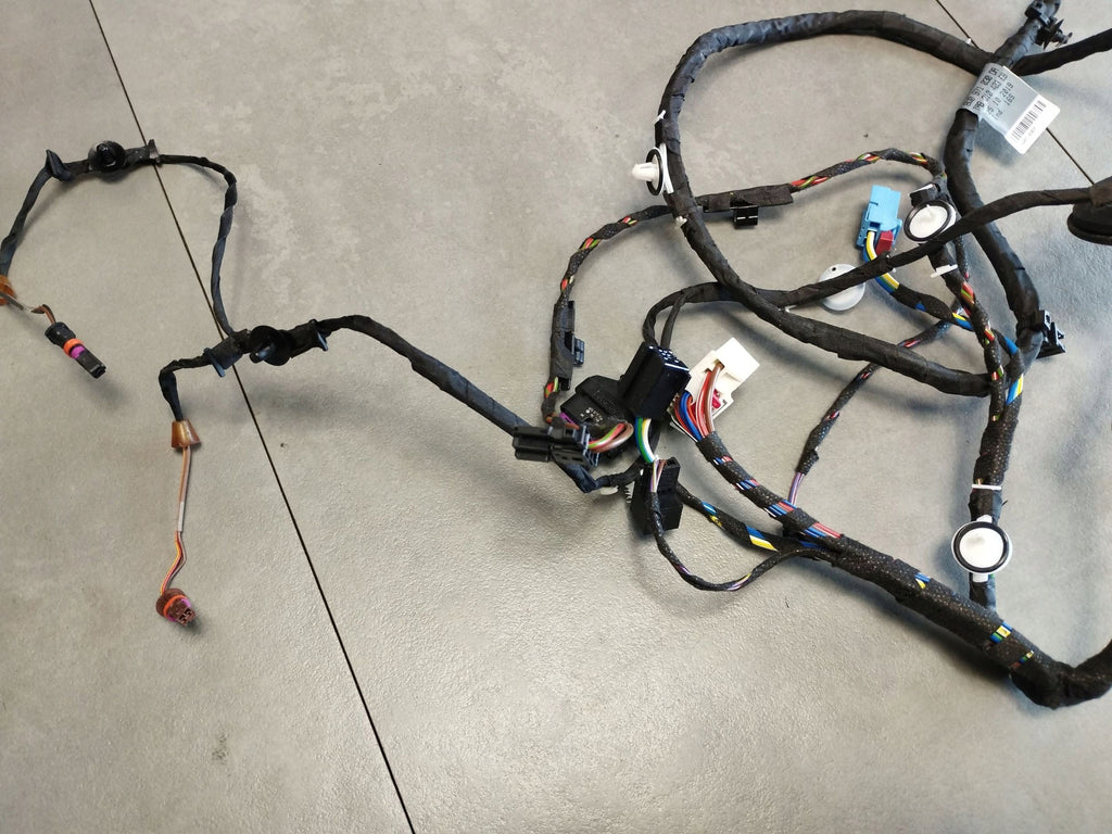 Audi A4 S4 B9 8W Front Right Door Harness 8W0971030DA