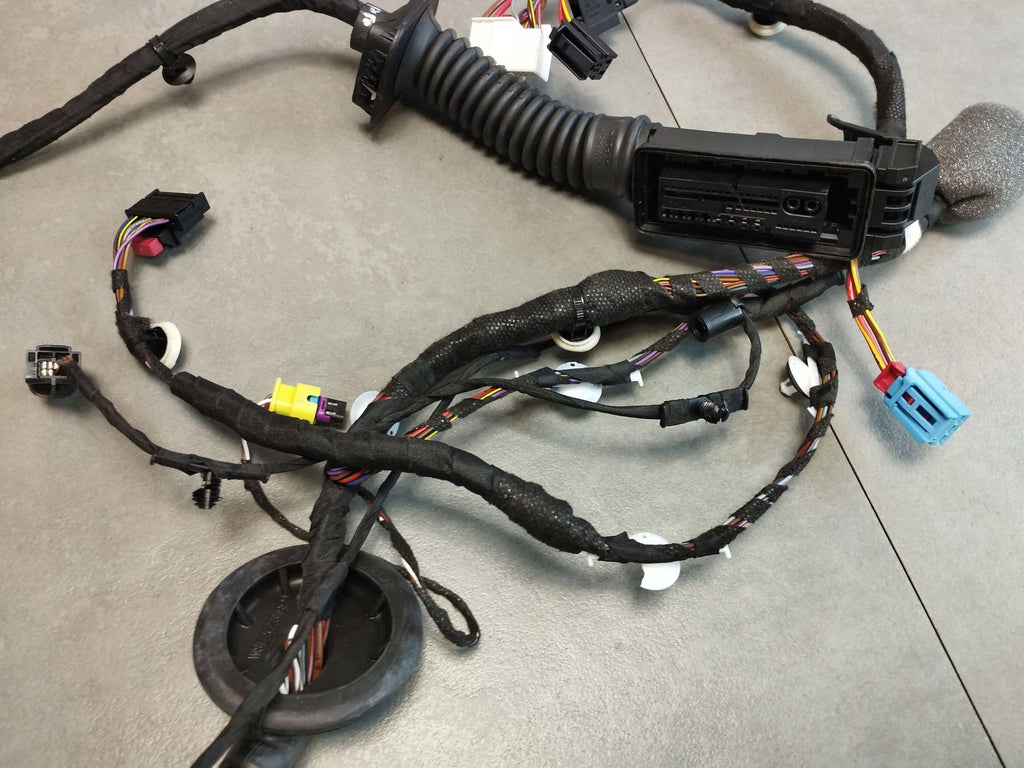 Audi A5 B10 DOOR HARNESS RIGHT FRONT 8B3971030AK
