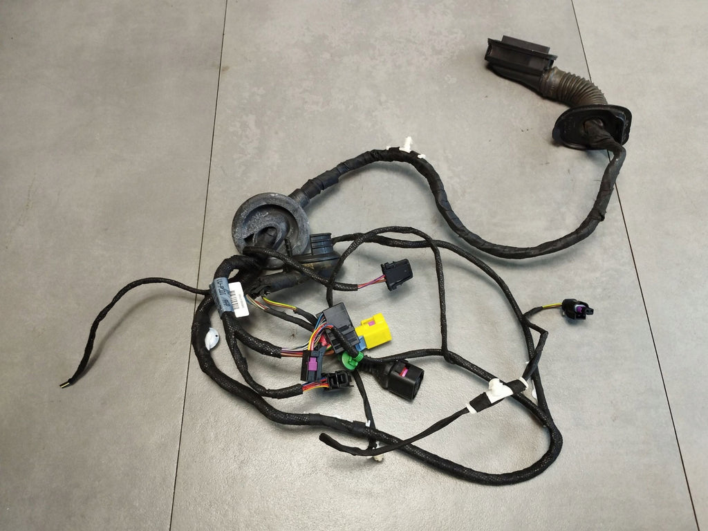 Audi A5 Sportback 8TA 2016 DOOR HARNESS LEFT FRONT 8T8971029BA