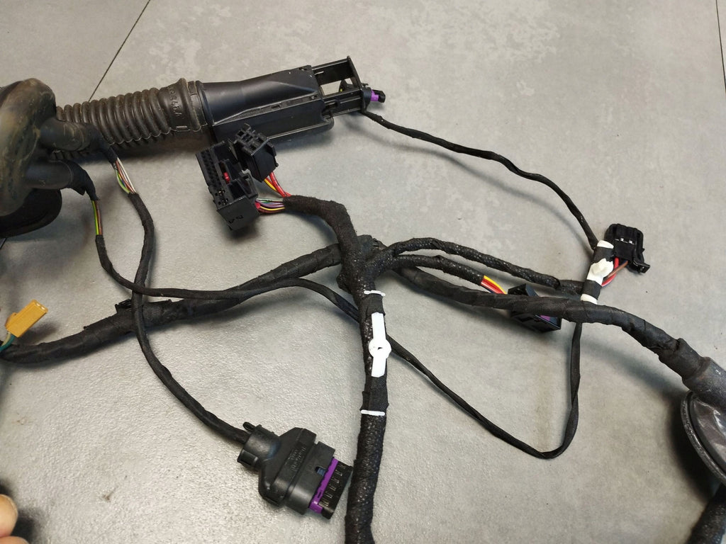 Audi A5 Sportback 8TA DOOR HARNESS LEFT REAR 8T8971687AA