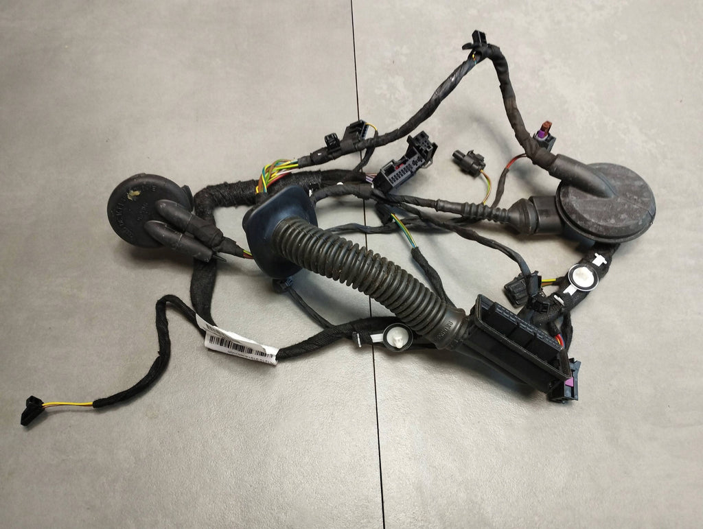 Audi A7 4G 2016 DOOR HARNESS LEFT REAR 4G8971687CG