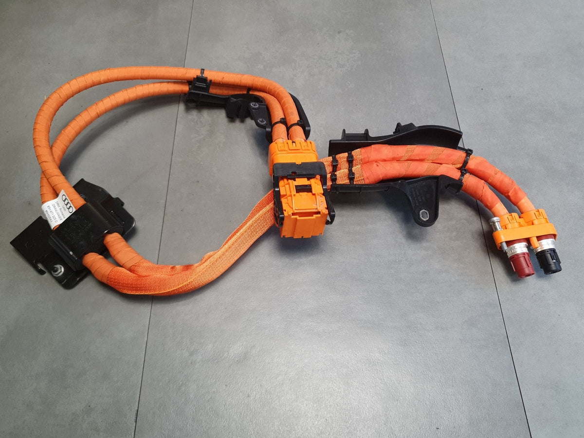 Audi SQ6 e-tron Electric harness 85H971025D