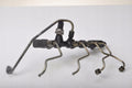 CARNIVAL I 2.9 CRDi INJECTION RAIL 31500-4X500