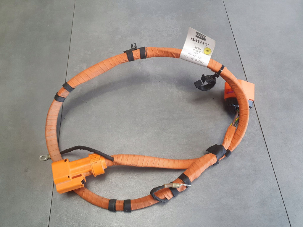 Cupra Formentor Electrical Harness Cable 5FF971531