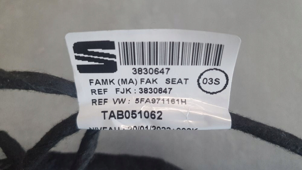 Cupra Formentor Grommet Door Harness Left Rear 5FA971161H