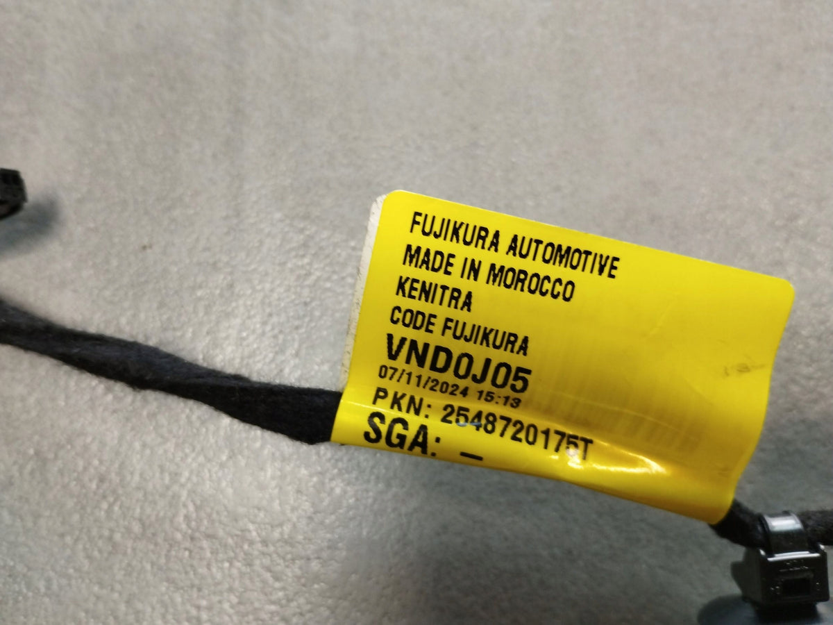 Cupra Formentor Tailgate Harness 5FG970148AA