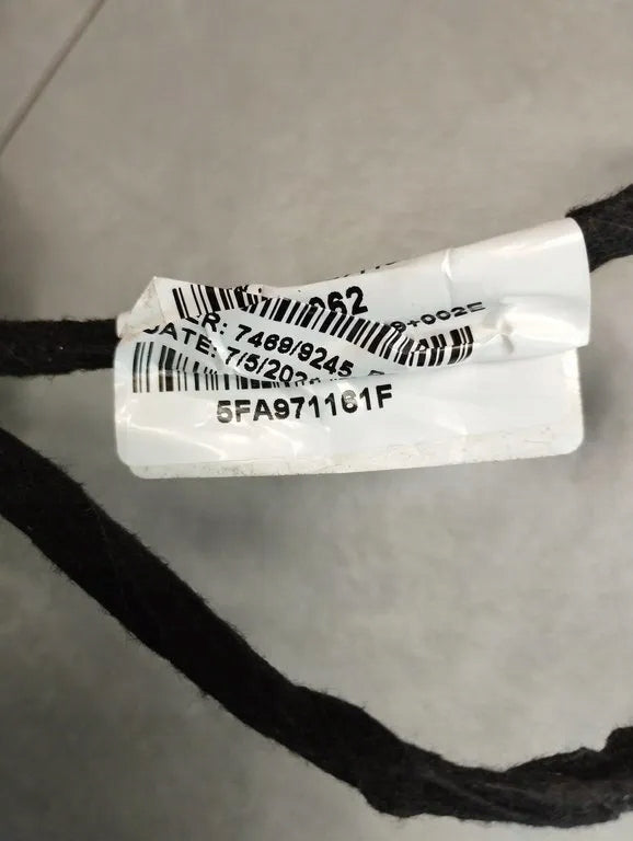 Cupra Formentor right rear door harness 5FA971161F
