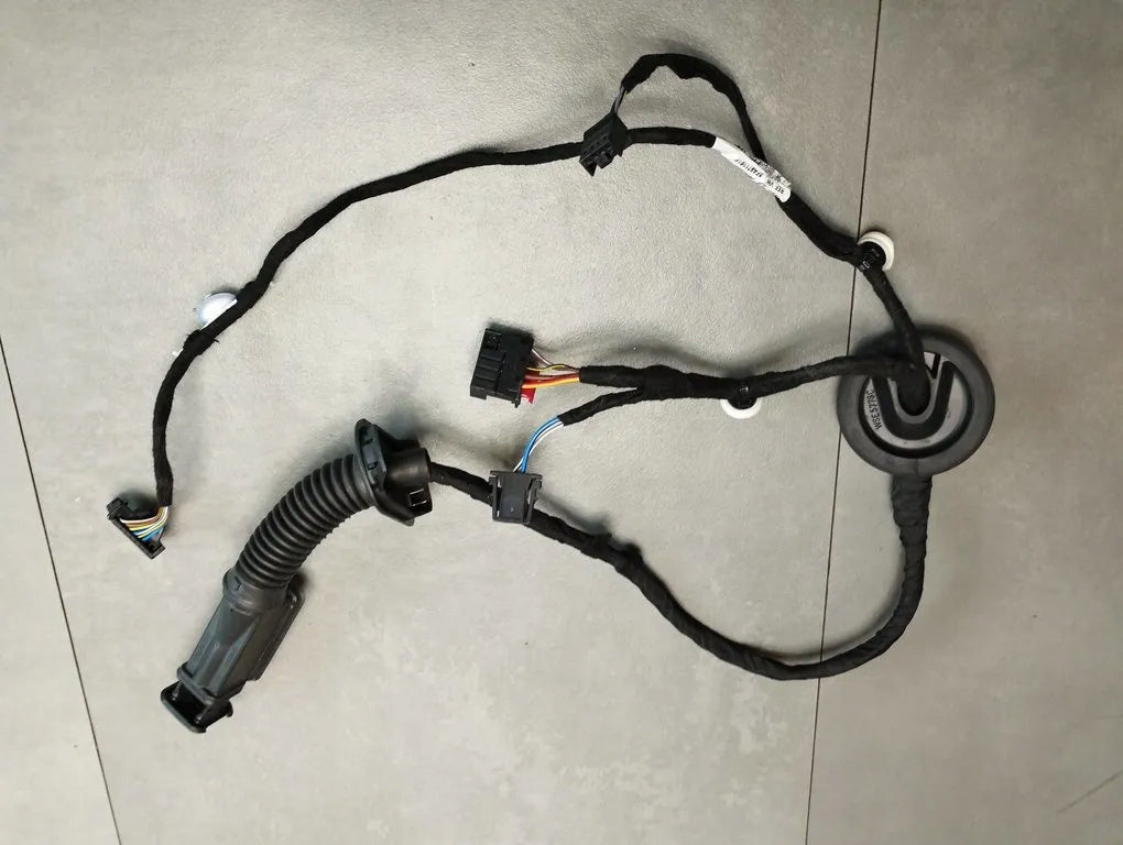 Cupra Formentor right rear door harness 5FA971161F