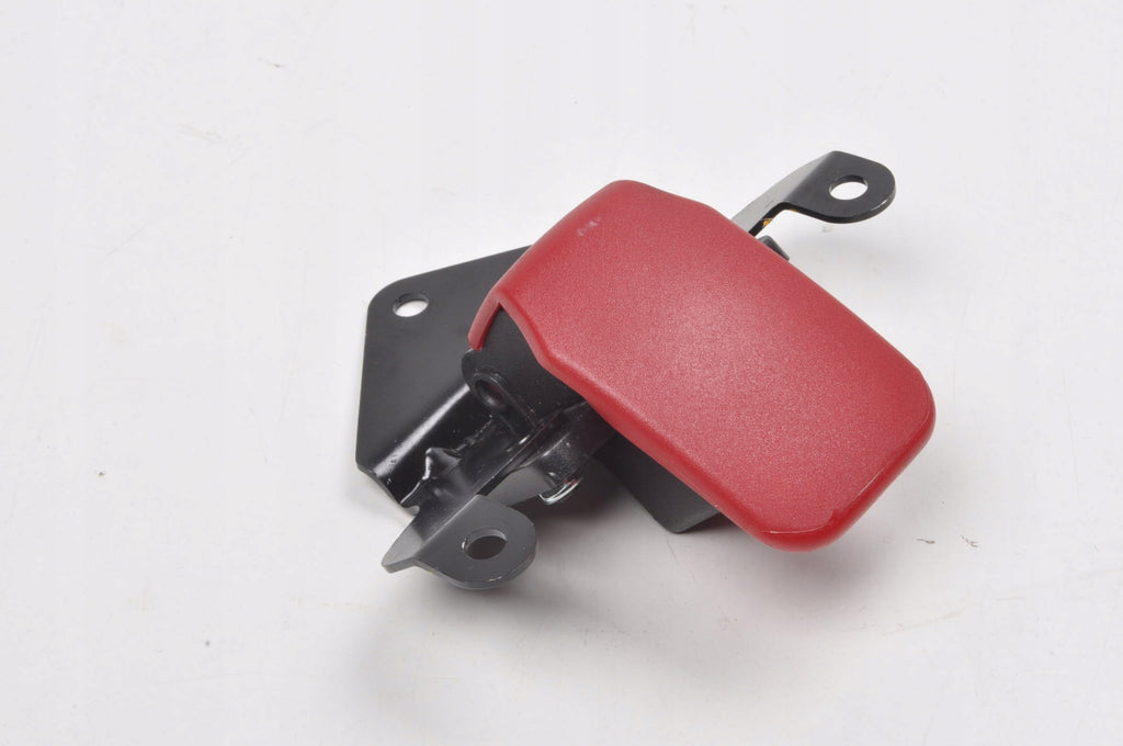 FERRARI PORTOFINO 3.9 F164 BUTTON HANDLE OPENING MASK