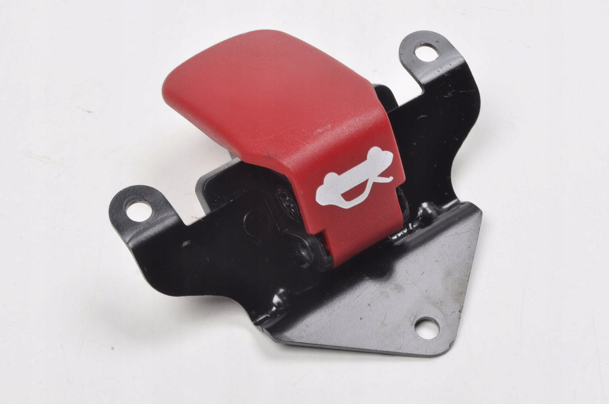 FERRARI PORTOFINO 3.9 F164 BUTTON HANDLE OPENING MASK