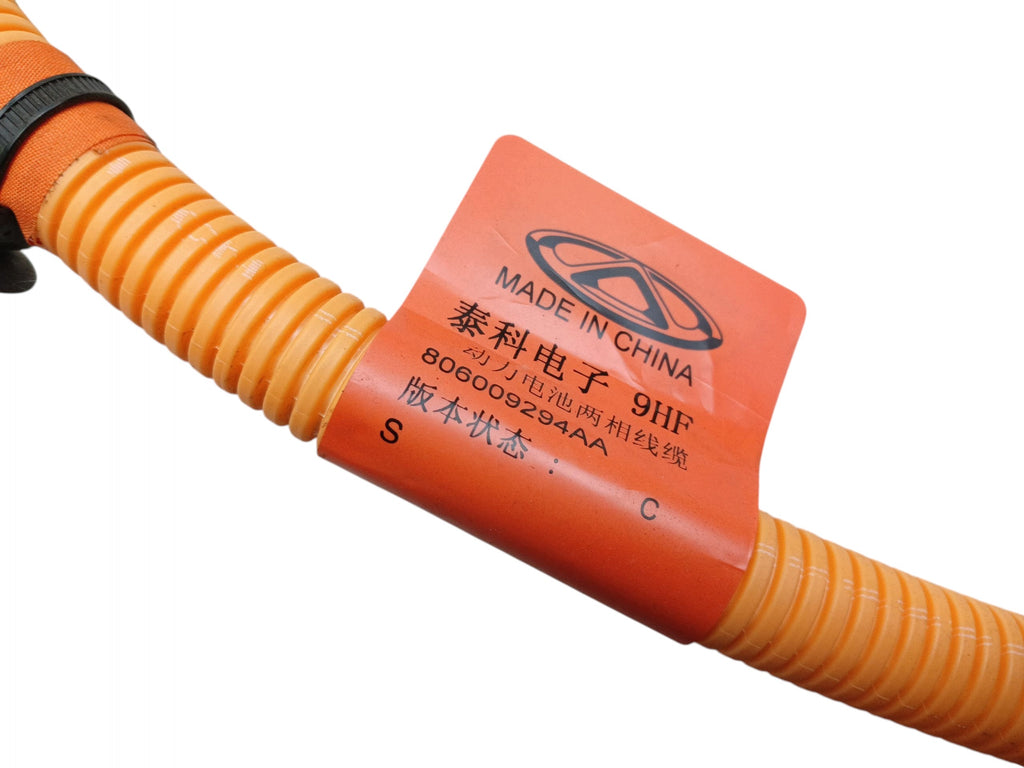 HIGH VOLTAGE CABLE JAECOO J7 (2023-) 1.5 T-GDI 224KM 806009294AA