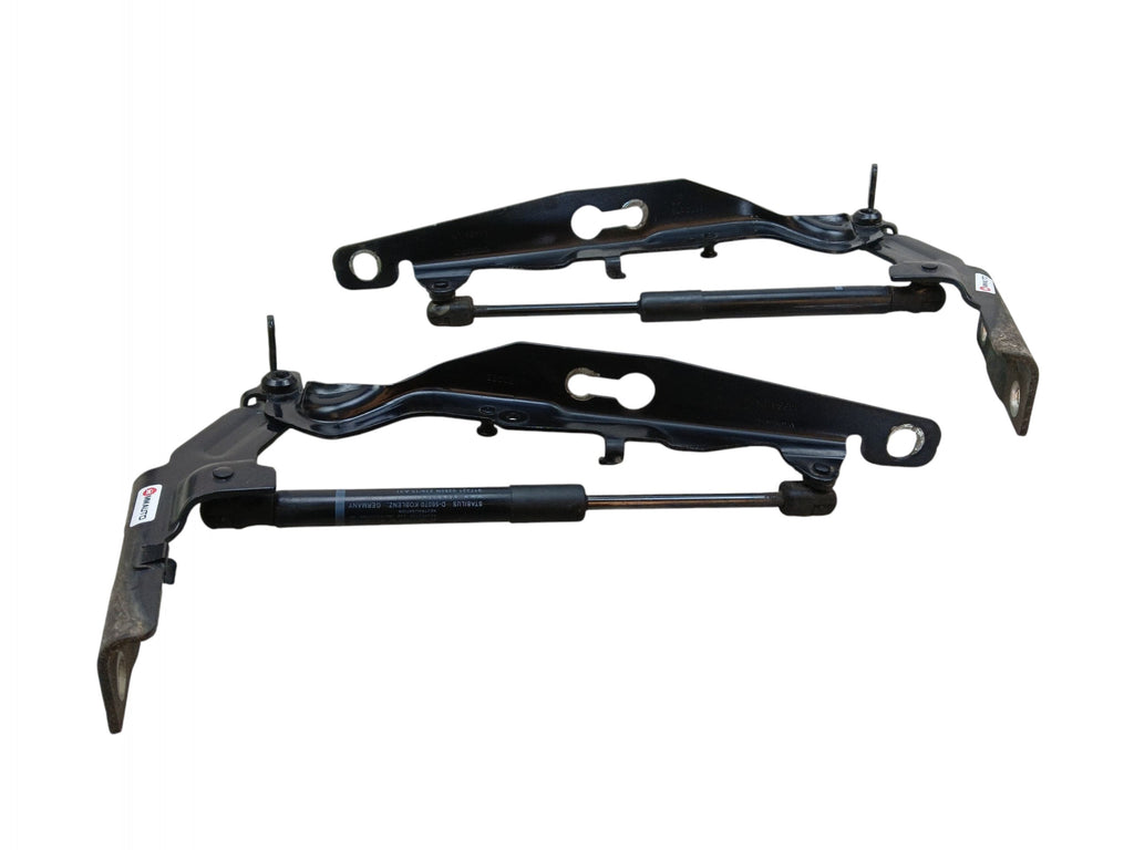 HINGES HINGE MASK SET VOLVO V60 AND S60 II 31385813 31385812 LAK: 717-46