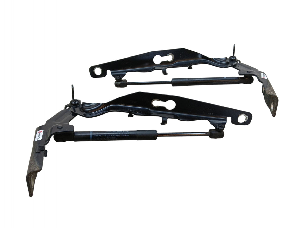 HINGES HINGE MASK SET VOLVO V60 AND S60 II 31385813 31385812 LAK: 717-46