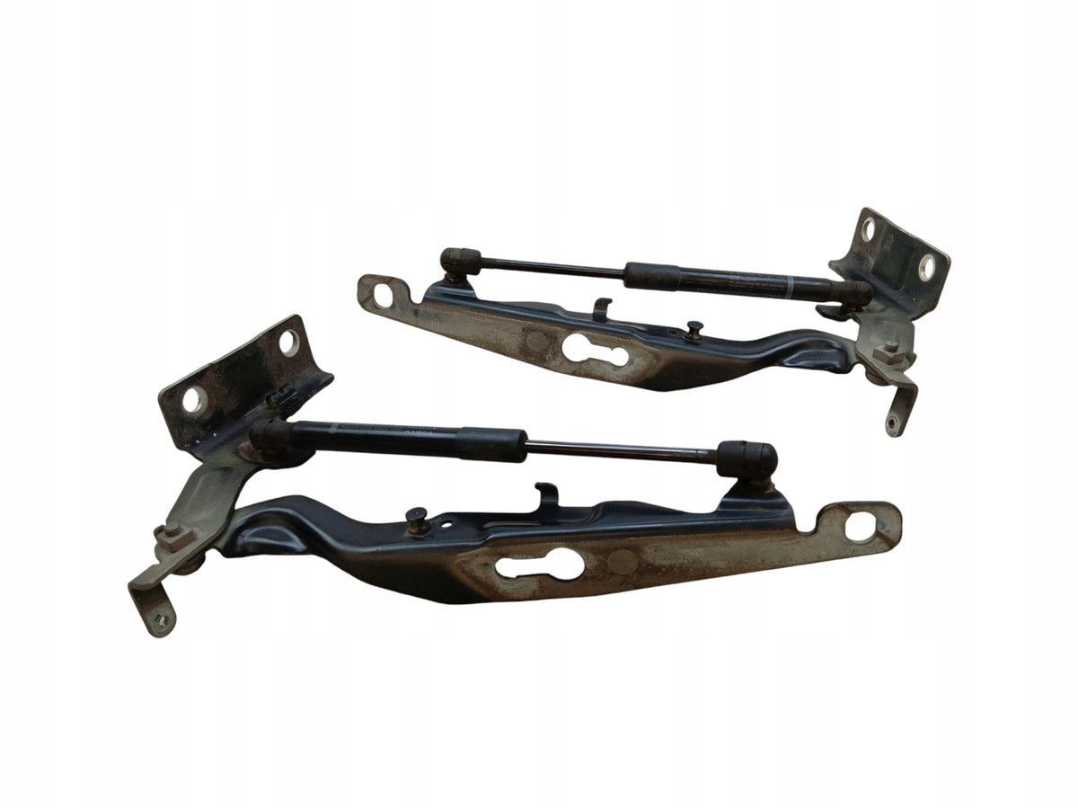 HINGES HINGE MASK SET VOLVO V60 AND S60 II 31385813 31385812 LAK: 717-46