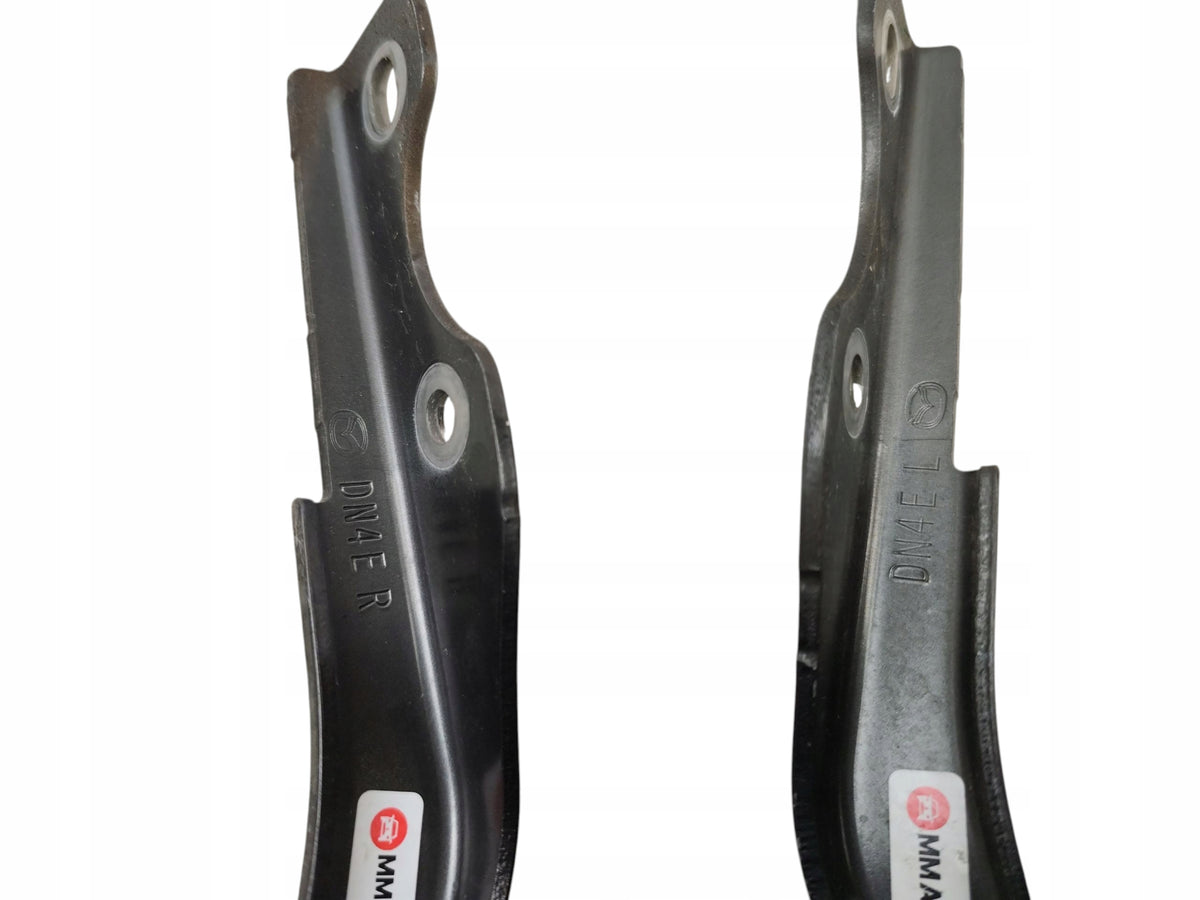 HINGES HINGE RIGHT LEFT MASK SET MAZDA MX-30 DN4ER DN4EL LAK: 46G