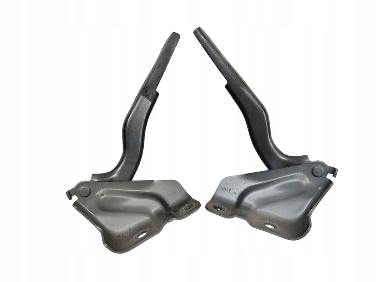 HINGES HINGE RIGHT LEFT MASK SET MAZDA MX-30 DN4ER DN4EL LAK: 46G