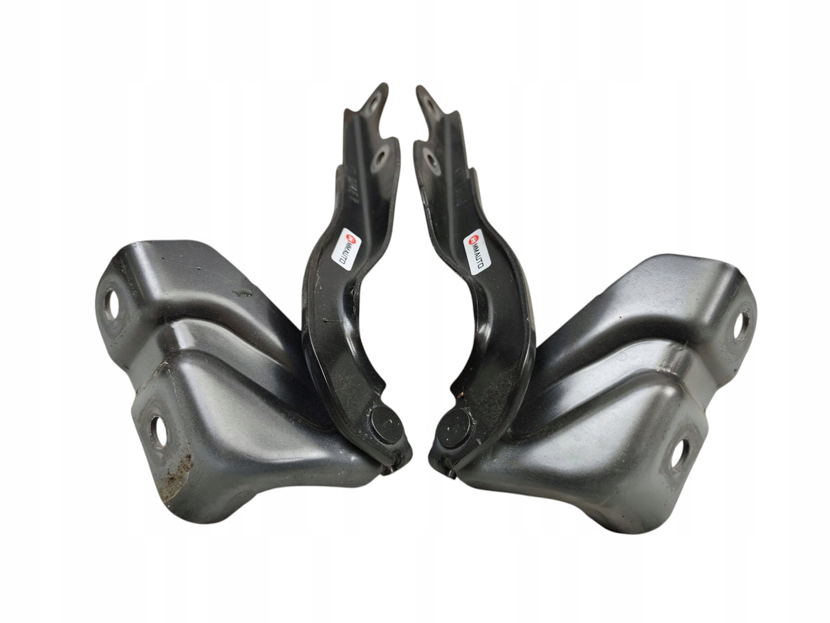 HINGES HINGE RIGHT LEFT MASK SET MAZDA MX-30 DN4ER DN4EL LAK: 46G