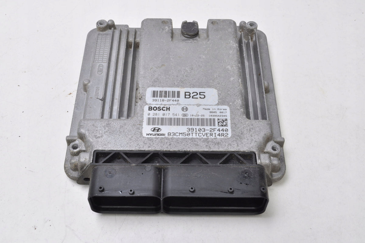 HYUNDAI SANTA FE II 2.2 CDTI 197HP COMPUTER ENGINE DRIVER 39103-2F440