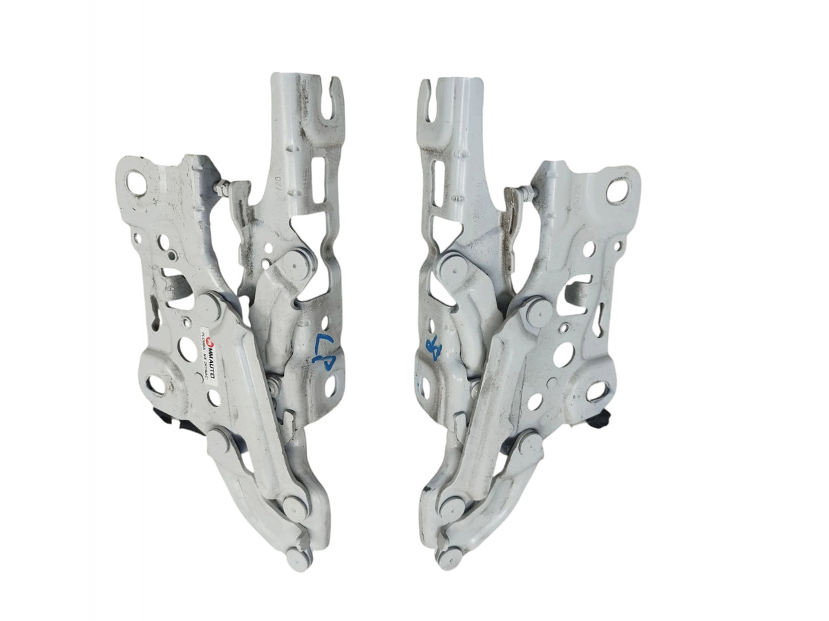 MASK HINGES LEFT RIGHT BMW G30 G31 7347408 7347407 ALPINWEISS III (300)