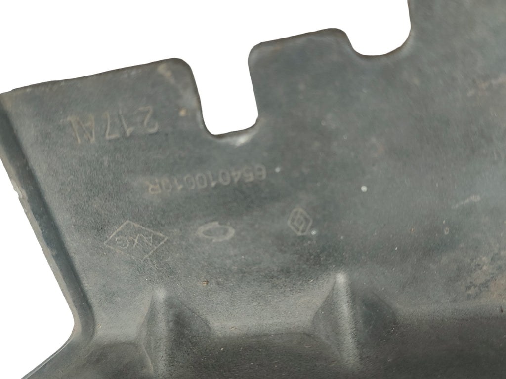 MASK HINGES LEFT RIGHT SET RENAULT LATITUDE COLOR NV676