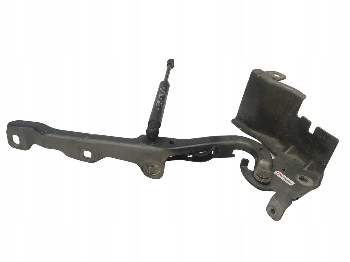 MASK HINGES LEFT RIGHT SET RENAULT LATITUDE COLOR NV676