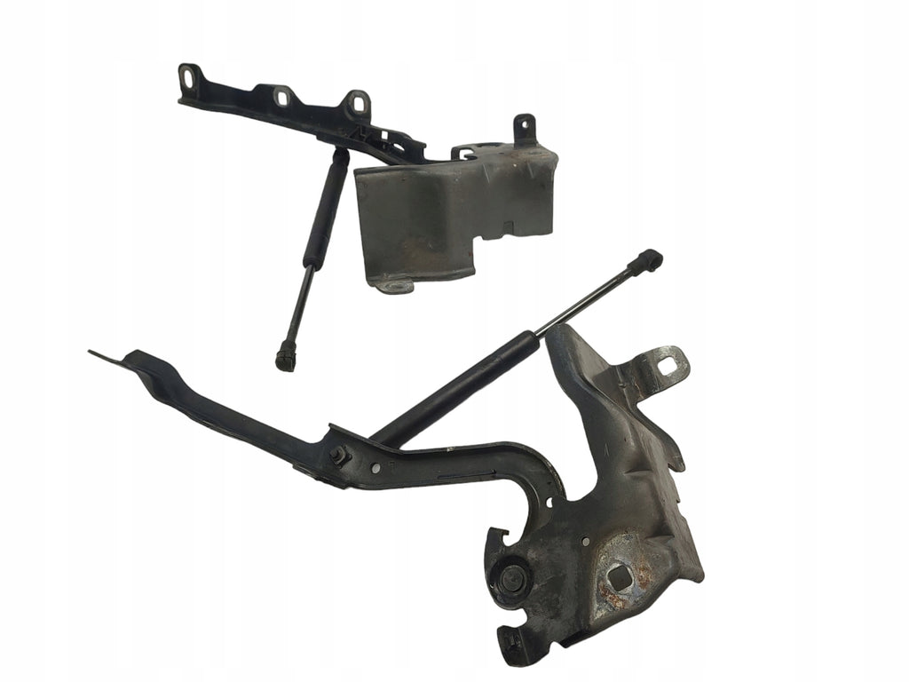 MASK HINGES LEFT RIGHT SET RENAULT LATITUDE COLOR NV676