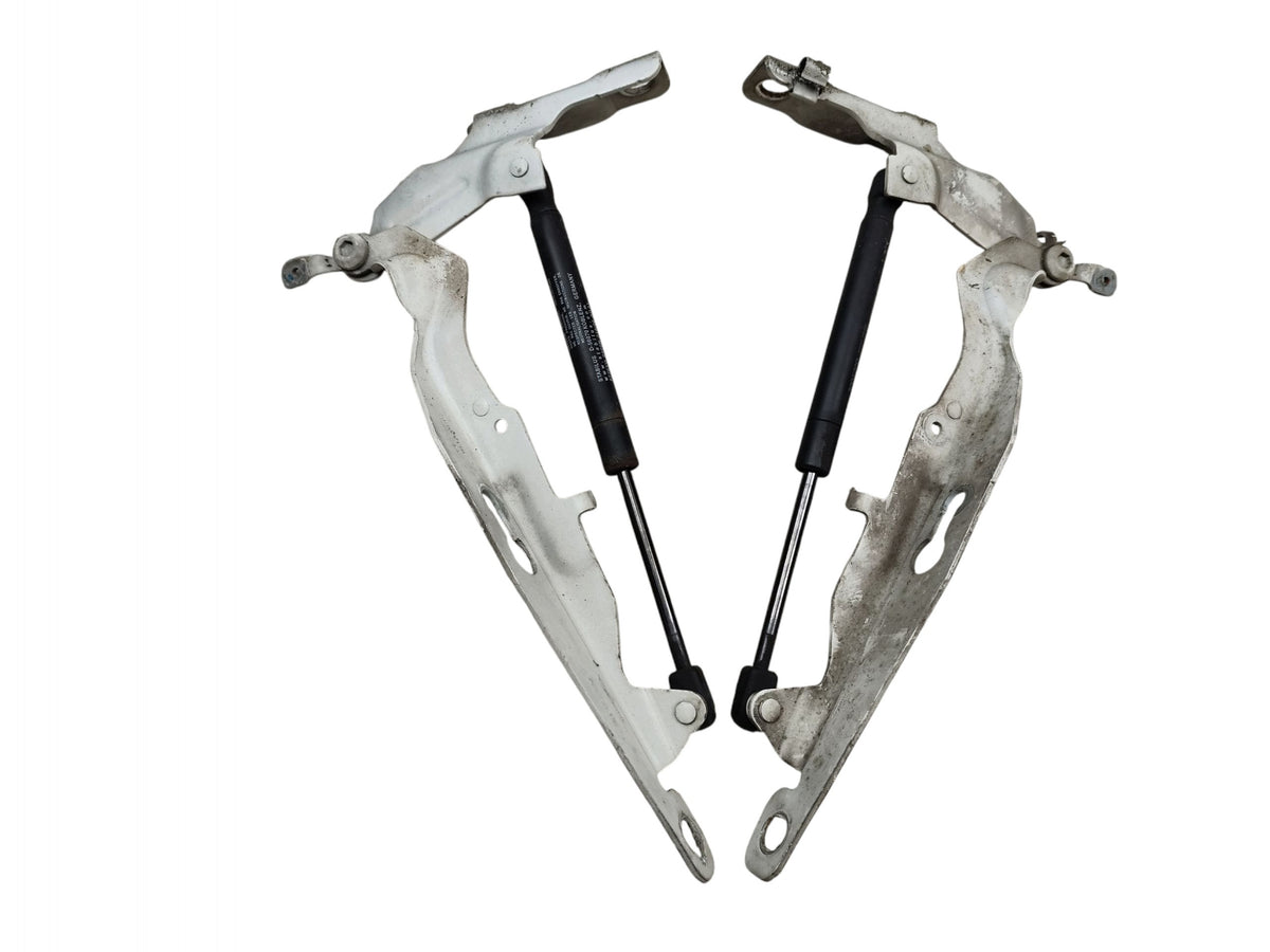 MASK HINGES LEFT RIGHT VOLVO XC60 AND 08-13 30779283 30779282 LAK. 614-46