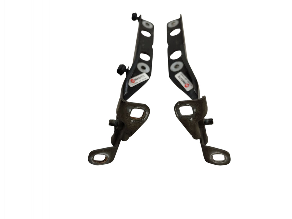 MASK HINGES SET CITROEN C4 PICASSO II LAK: EXYB 9676115180 9676115080