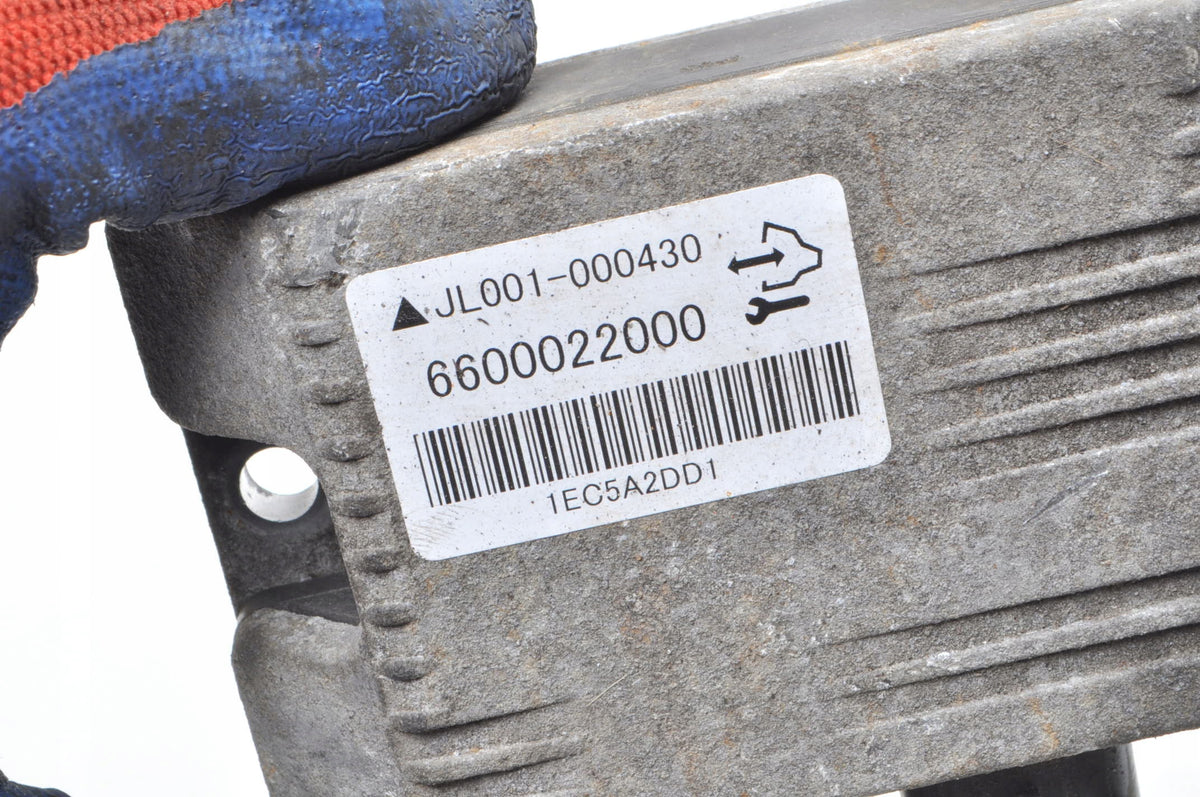 OPEL ANTARA REAR BRIDGE RELAY MODULE 6600022000