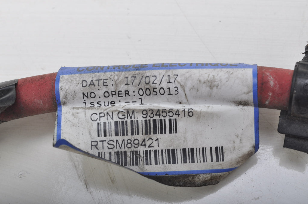 OPEL VIVARO B 1.6 CDTI BATTERY PLUS CABLE
