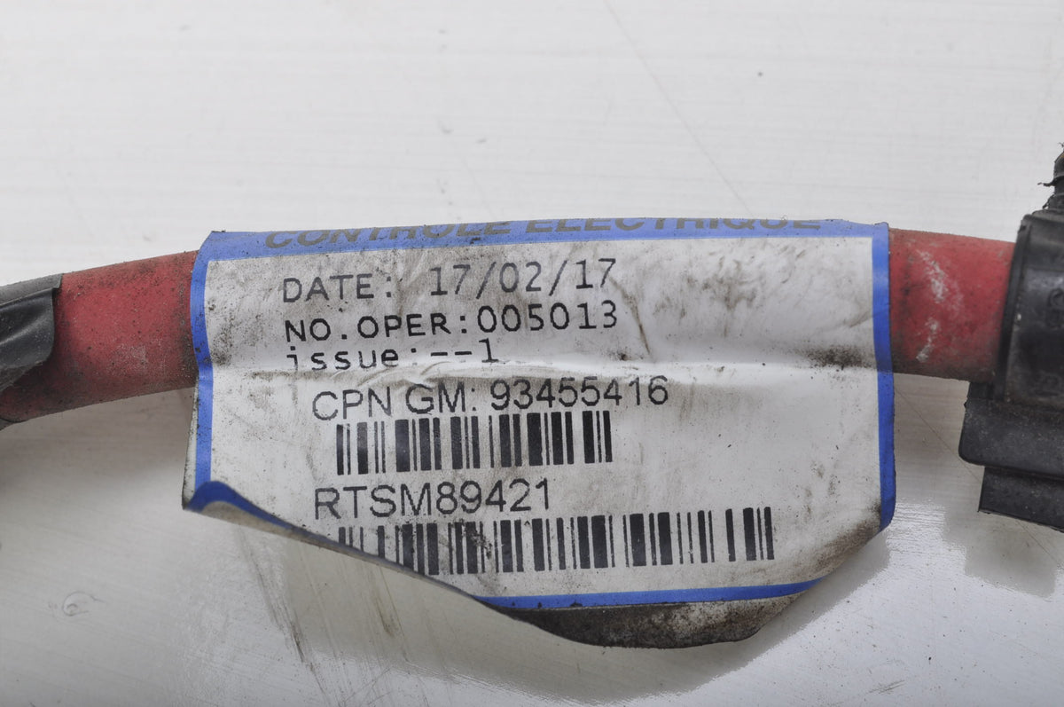 OPEL VIVARO B 1.6 CDTI BATTERY PLUS CABLE