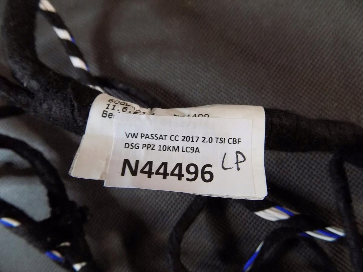 VW PASSAT CC DOOR HARNESS LEFT FRONT 3C8971120DA
