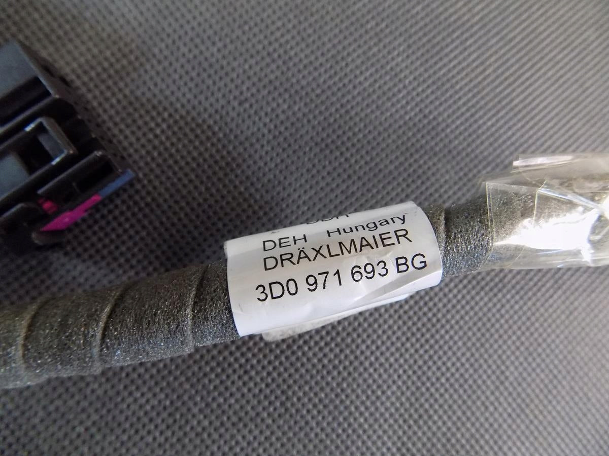 VW PHAETON DOOR HARNESS LEFT REAR 3D0971693BG