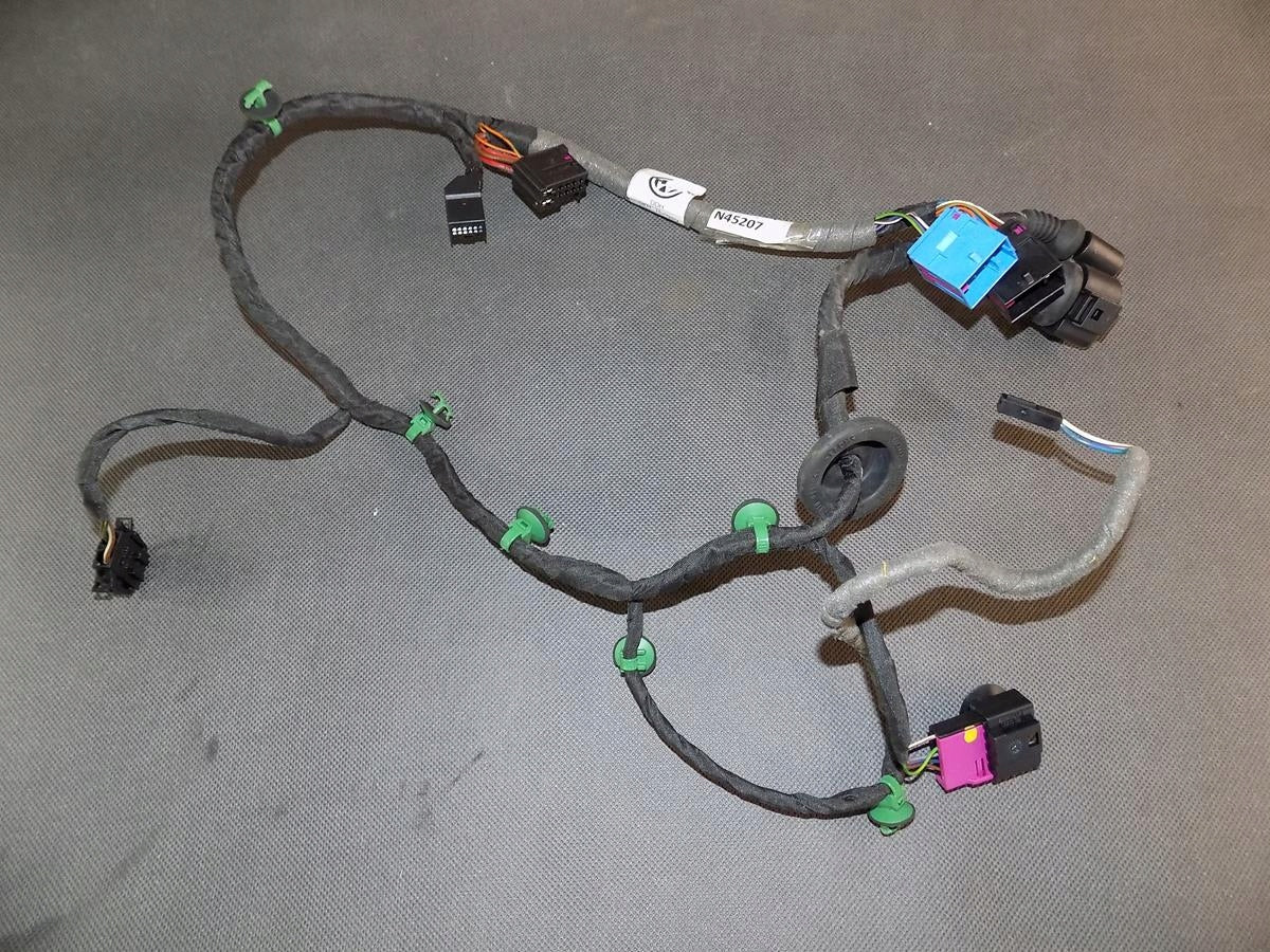 VW PHAETON DOOR HARNESS LEFT REAR 3D0971693BG