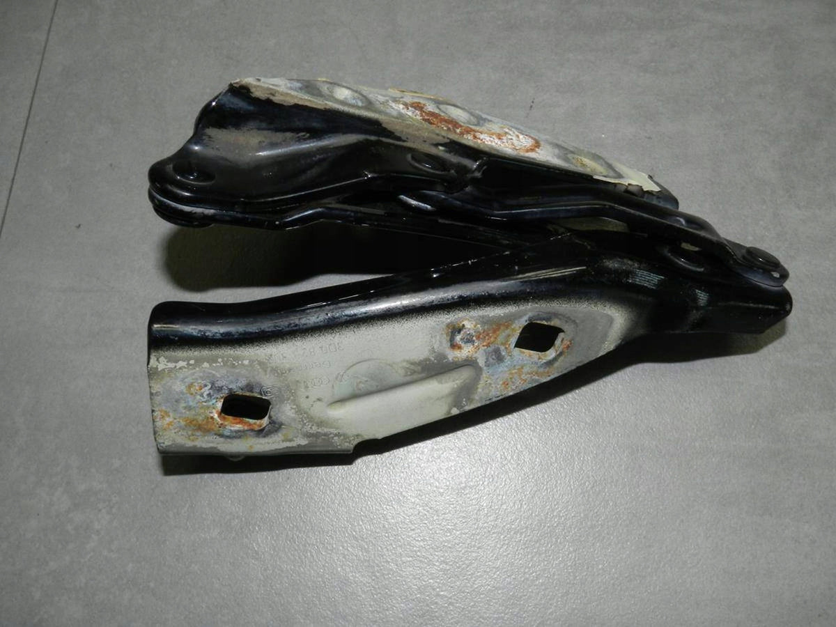 Volkswagen Phaeton Mask hinges right 3D0823302F